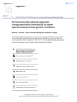 Environmentally induced epigenetic transgenerational inheritance of sperm epimutations promote genetic mutations