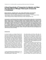 A Novel Superfamily of Transporters for Allantoin and Other Oxo Derivatives of Nitrogen Heterocyclic Compounds in Arabidopsis