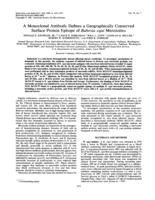 A monoclonal antibody defines a geographically conserved surface protein epitope of Babesia equi merozoites