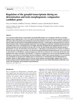 Regulation of the gonadal transcriptome during sex determination and testis morphogenesis: comparative candidate genes