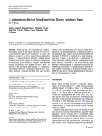 A mutagenesis-derived broad-spectrum disease resistance locus in wheat