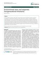Environmental stress and epigenetic transgenerational inheritance