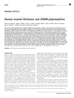 Human enamel thickness and ENAM polymorphism