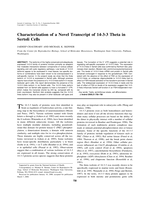 Characterization of a Novel Transcript of 14–3‐3 Theta in Sertoli Cells