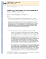 Foldamers with hybrid biological and synthetic sequences as selective DNA fluorescent probes