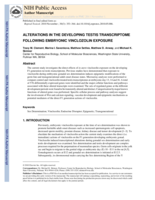 Alterations in the developing testis transcriptome following embryonic vinclozolin exposure