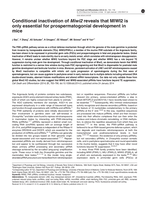 Conditional inactivation of Miwi2 reveals that MIWI2 is only essential for prospermatogonial development in mice