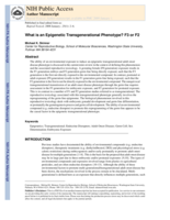 What is an epigenetic transgenerational phenotype? F3 or F2