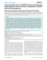 A genome-wide screen of CREB occupancy identifies the RhoA inhibitors Par6C and Rnd3 as regulators of BDNF-induced synaptogenesis