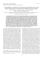 A Quantitative and Kinetic Fusion Protein-Triggering Assay Can Discern Distinct Steps in the Nipah Virus Membrane Fusion Cascade
