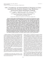 CD4+ T-Lymphocyte and Immunoglobulin G2 Responses in Calves Immunized with Anaplasma marginale Outer Membranes and Protected against Homologous Challenge