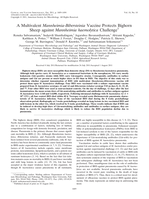 A Multivalent Mannheimia-Bibersteinia Vaccine Protects Bighorn Sheep against Mannheimia haemolytica Challenge