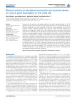 Distinct actions of ancestral vinclozolin and juvenile stress on neural gene expression in the male rat