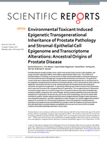 Environmental Toxicant Induced Epigenetic Transgenerational Inheritance of Prostate Pathology and Stromal-Epithelial Cell Epigenome and Transcriptome Alterations: Ancestral Origins of Prostate Disease