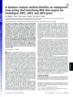 A database analysis method identifies an endogenous trans-acting short-interfering RNA that targets the Arabidopsis ARF2, ARF3, and ARF4 genes