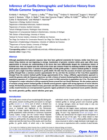 Inference of gorilla demographic and selective history from whole-genome sequence data