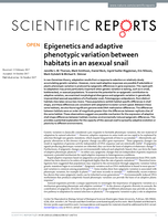 Epigenetics and adaptive phenotypic variation between habitats in an asexual snail