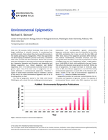 Environmental Epigenetics