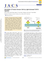 Stimulation of Innate Immune Cells by Light-Activated TLR7/8 Agonists