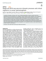 Single-cell RNA-seq uncovers dynamic processes and critical regulators in mouse spermatogenesis