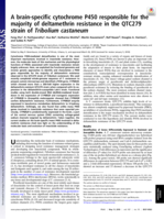 A brain-specific cytochrome P450 responsible for the majority of deltamethrin resistance in the QTC279 strain of Tribolium castaneum