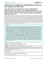 A mechanistic paradigm for broad-spectrum antivirals that target virus-cell fusion