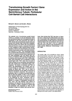 Transforming Growth Factorβ Gene Expression and Action in the Seminiferous Tubule: Peritubular Cell-Sertoli Cell Interactions