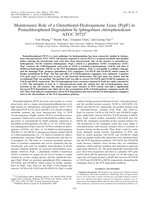 Maintenance Role of a Glutathionyl-Hydroquinone Lyase (PcpF) in Pentachlorophenol Degradation by Sphingobium chlorophenolicum ATCC 39723