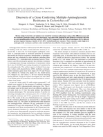 Discovery of a Gene Conferring Multiple-Aminoglycoside Resistance in Escherichia coli