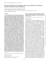 Expression and action of neurotropin-3 and nerve growth factor in embryonic and early postnatal rat testis development