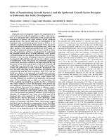 Role of transforming growth factor-α and the epidermal growth factor receptor in embryonic rat testis development