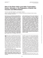 Role of the Basic Helix-Loop-Helix Transcription Factor, Scleraxis, in the Regulation of Sertoli Cell Function and Differentiation