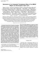 Generation of an integrated transcription map of the BRCA2 region on chromosome 13q12-q13