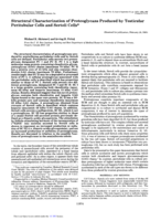 Structural characterization of proteoglycans produced by testicular peritubular cells and Sertoli cells
