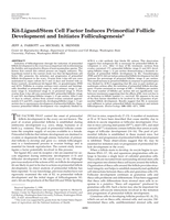 Kit-ligand/stem cell factor induces primordial follicle development and initiates folliculogenesis