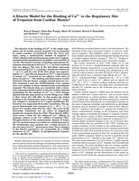 A Kinetic Model for the Binding of Ca2+to the Regulatory Site of Troponin from Cardiac Muscle