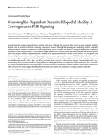 Neurotrophin-dependent dendritic filopodial motility: a convergence on PI3K signaling