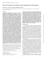 Role of neurotropins in rat embryonic testis morphogenesis (cord formation)