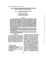 A sulfated glycoprotein synthesized by Sertoli cells and by epididymal cells is a component of the sperm membrane