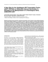A new role for the Arabidopsis AP2 transcription factor, LEAFY PETIOLE, in gibberellin-induced germination is revealed by the misexpression of a homologous gene, SOB2/DRN-LIKE
