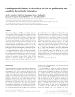 Developmentally distinct in vivo effects of FSH on proliferation and apoptosis during testis maturation