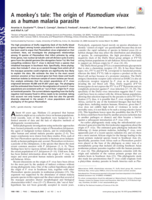 A monkey's tale: The origin of Plasmodium vivax as a human malaria parasite