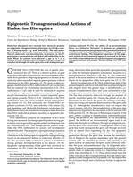 Epigenetic transgenerational actions of endocrine disruptors