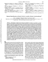 Retinol esterification in Sertoli cells by lecithin-retinol acyltransferase