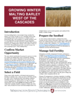 Growing winter malting barley west of the Cascades