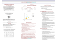 Teachers' Collaborative Inquiry: Making Sense of Classroom-Based Data