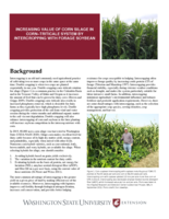 Increasing value of corn silage in corn-triticale system by intercropping with forage soybean