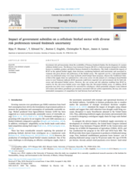 Impact of government subsidies on a cellulosic biofuel sector with diverse risk preferences toward feedstock uncertainty