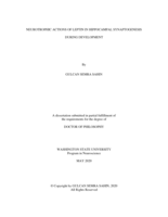 NEUROTROPHIC ACTIONS OF LEPTIN IN HIPPOCAMPAL SYNAPTOGENESIS DURING DEVELOPMENT