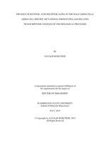 THE ROLE OF RETINOIC ACID RECEPTOR ALPHA IN THE MALE GERM CELLS: GERM CELL-SPECIFIC MUTATIONAL PHENOTYPES AND RELATED TRANSCRIPTOME CHANGES OF THE BIOLOGICAL PROCESSES